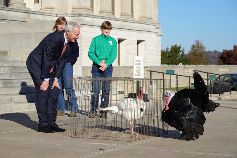 Governor Hutchinson Declares November 21-27 as Arkansas Turkey Week 