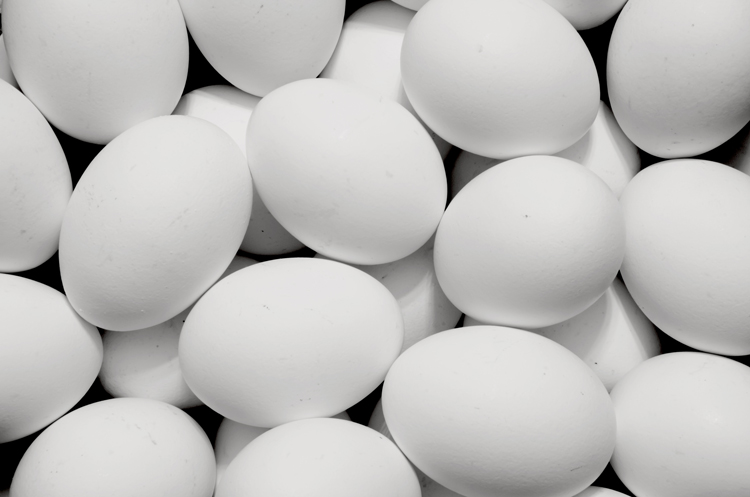 World Egg Day Adopts "Protein for Life" as 2018 Theme