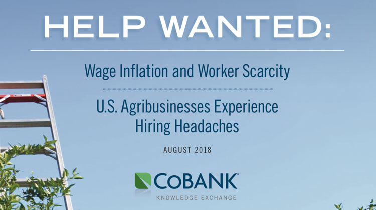 How a Poultry Processor, Pork Producer and Feedyard Approach Labor