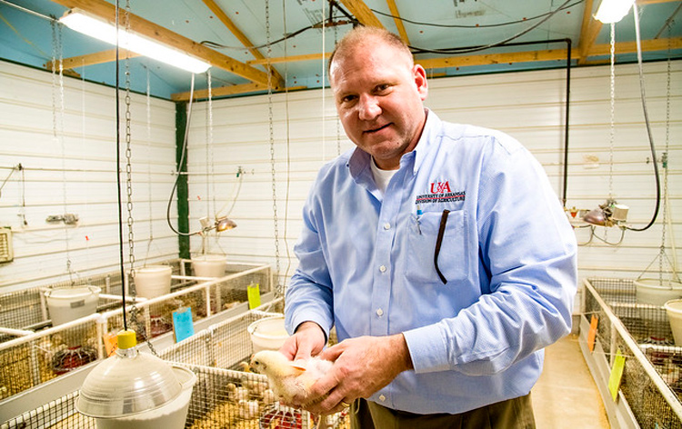 Adisseo endows professorship for U of A System Division of Agriculture; company funds 3 poultry science research projects