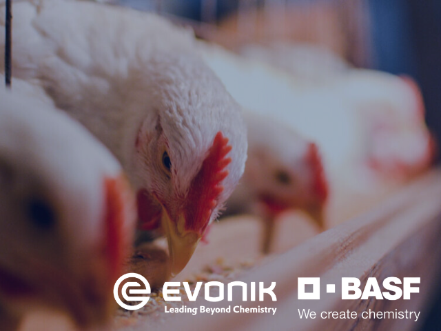 EvonikBASF Opteinics Launch