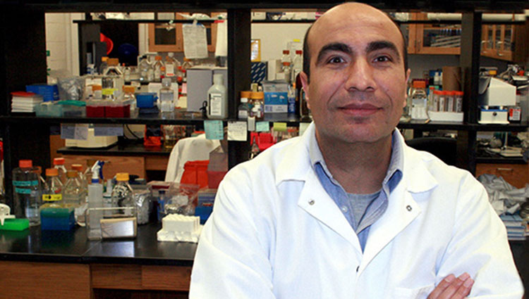 Campylobacter in Poultry: An Elusive Pathogen