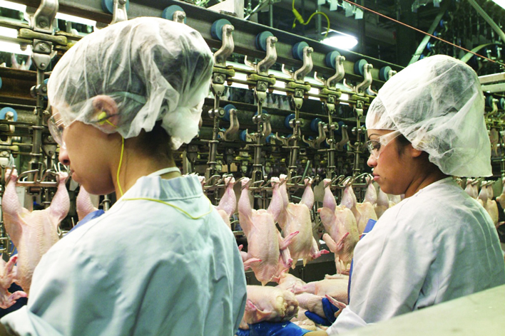 Poultry Processing Tech: The importance of speed