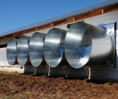 Poultry House Fans