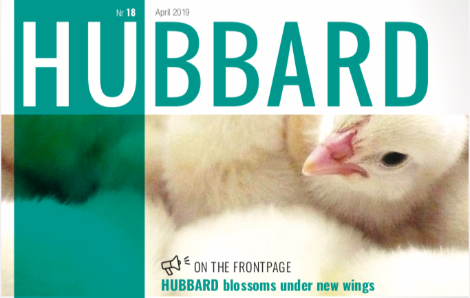 Hubbard Blossoms Under New Wings