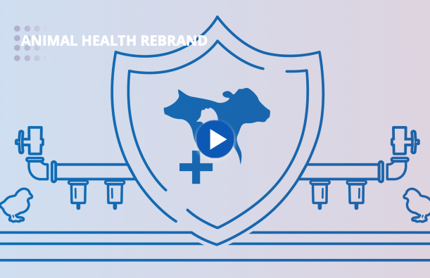Sterilex Announces Animal Health Rebrand