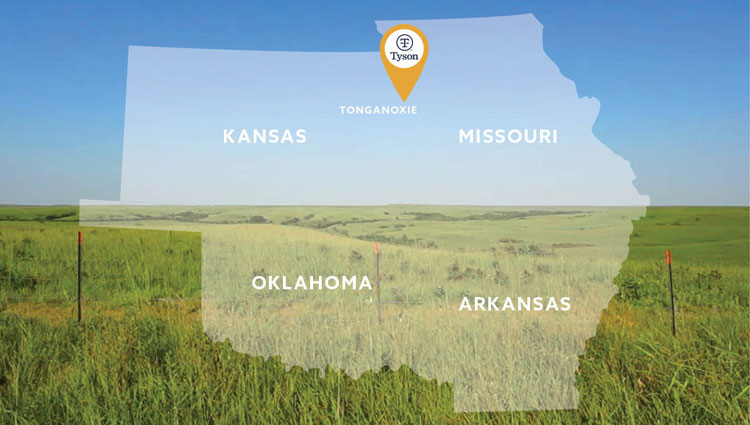 Tyson Foods to Invest $320M in New Chicken Plant in Kansas