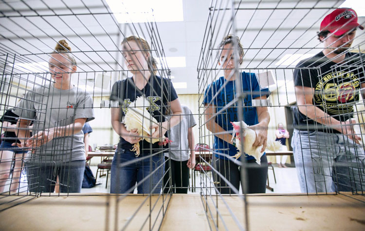 Adisseo Sponsors Poultry Leaders of Tomorrow to Promote Educational Collaboration Within Industry