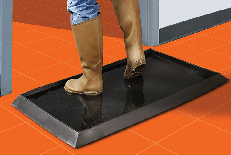 Avian Influenza Viruses Can Persist in Footbaths and Manure