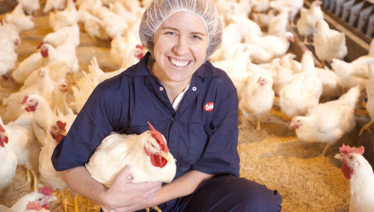 Cobb Vantress, Inc Launches New Animal Welfare Website