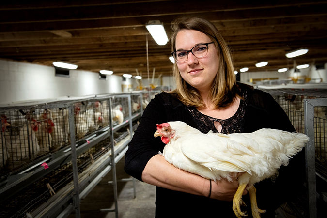 water efficient chicken